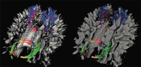 Occlusion Shading screenshot