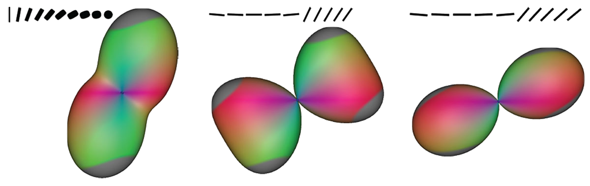 Overview + Detail Visualization for Ensembles of Diffusion Tensors teaser image