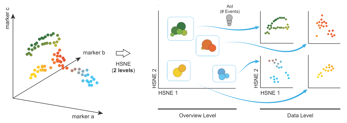 Visual Analysis of Mass Cytometry Data by Hierarchical Stochastic Neighbor Embedding Reveals Rare Cell Types teaser image