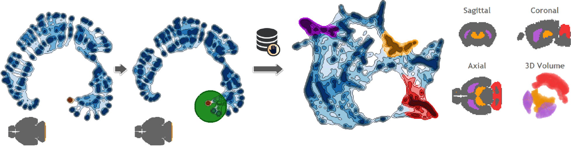 Approximated and User Steerable tSNE for Progressive Visual Analytics teaser image