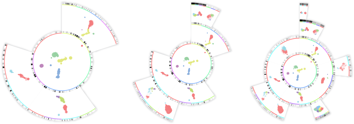 CyteGuide: Visual Guidance for Hierarchical Single-Cell Analysis teaser image