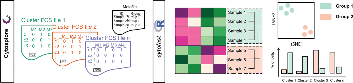 Cytofast: A workflow for visual and quantitative analysis of flow and mass cytometry data to discover immune signatures and correlations teaser image