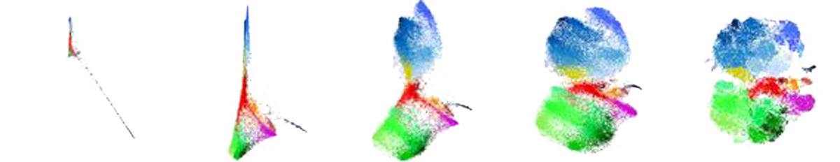 Mass Cytometry Reveals Innate Lymphoid Cell Differentiation Pathways in the Human Fetal Intestine teaser image