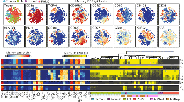 Mediators of Antitumour Immunity screenshot