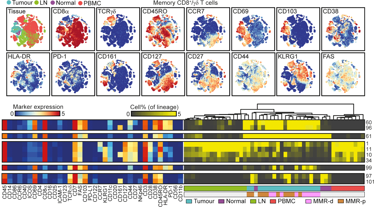 High-Dimensional Cytometric Analysis of Colorectal Cancer Reveals Novel Mediators of Antitumour Immunity teaser image
