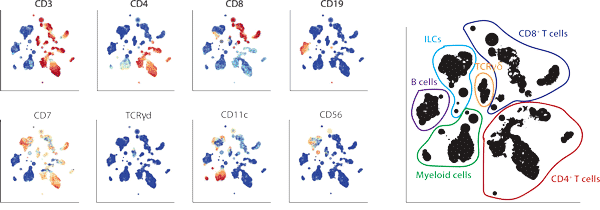 Helminth Infections Drive Cell Heterogeneity screenshot