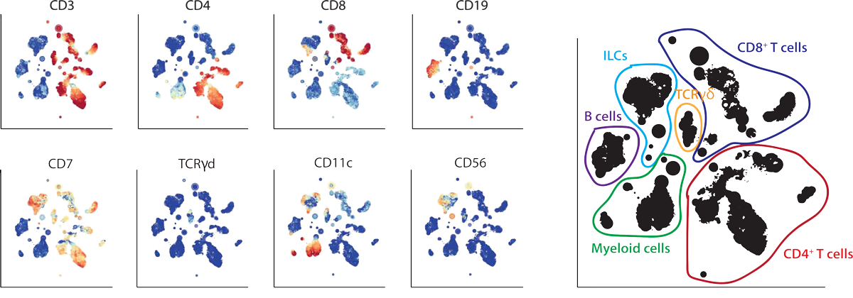 Helminth Infections Drive Heterogeneity in Human Type 2 and Regulatory Cells teaser image