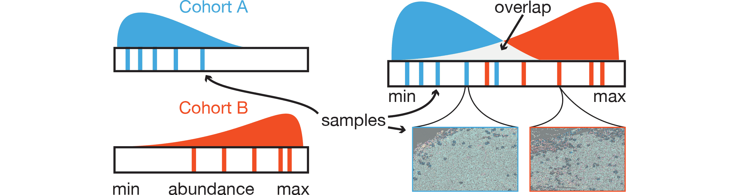 Visual Cohort Comparison for Spatial Single-Cell Omics-Data teaser image