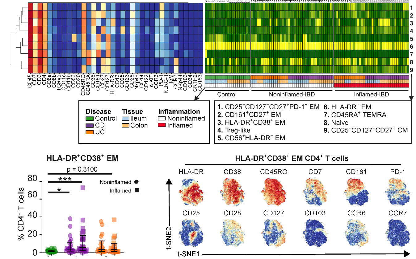 Identification of a Disease-Associated Network of Intestinal Immune Cells in Treatment-Naive Inflammatory Bowel Disease teaser image