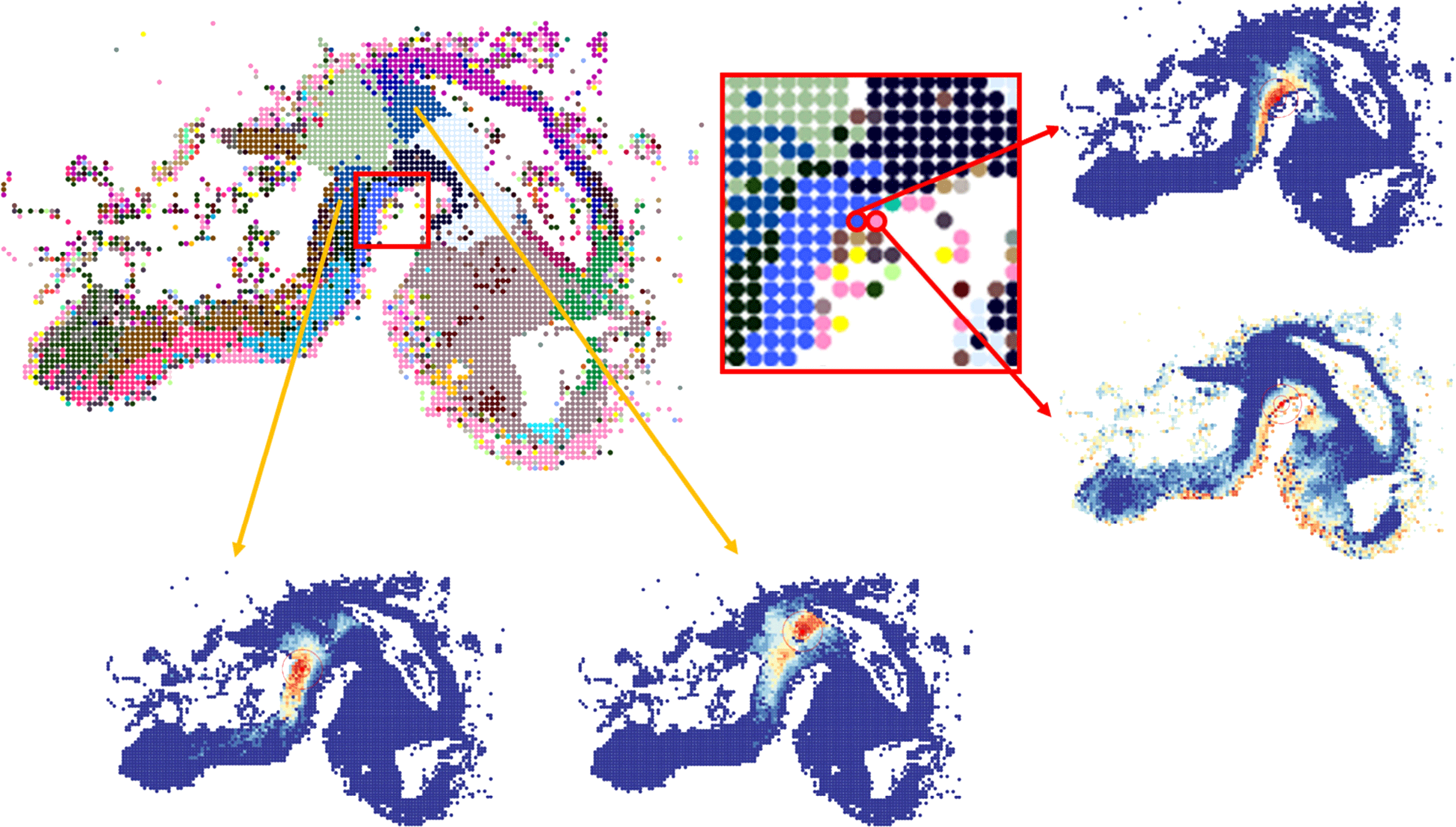 SpaceWalker Enables Interactive Gradient Exploration for Spatial Transcriptomics Data teaser image