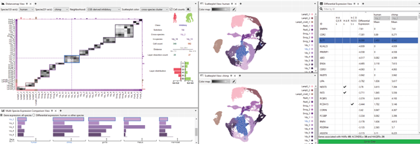 Cytosplore Simian Viewer screenshot