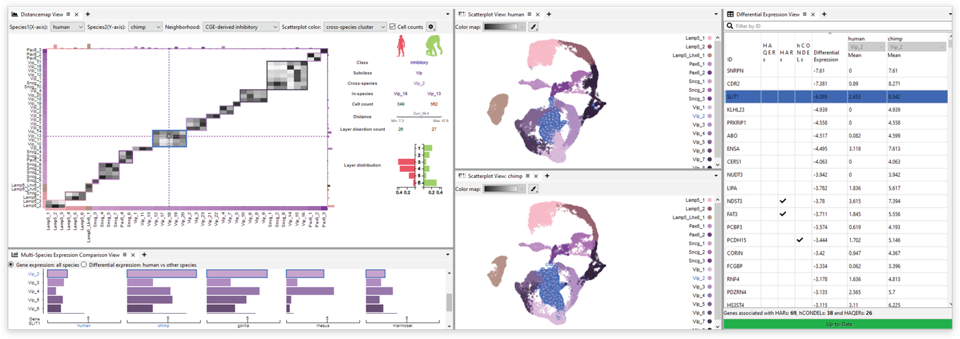 Cytosplore Simian Viewer: Visual Exploration for Multi-Species Single-Cell RNA Sequencing Data teaser image